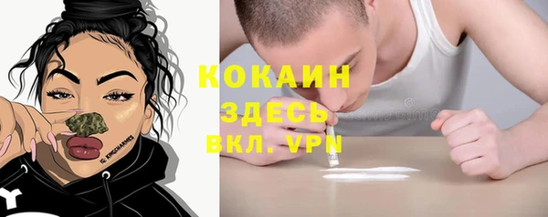 крисы Армянск