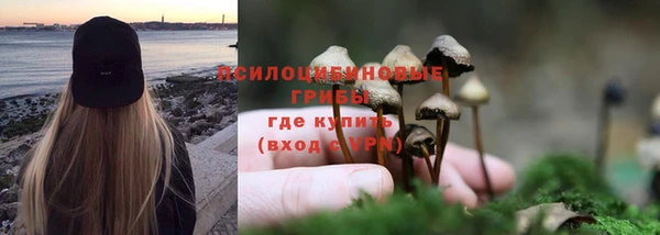 jwh Аркадак