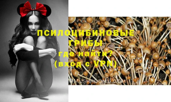 jwh Аркадак