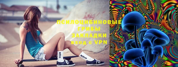 крисы Армянск